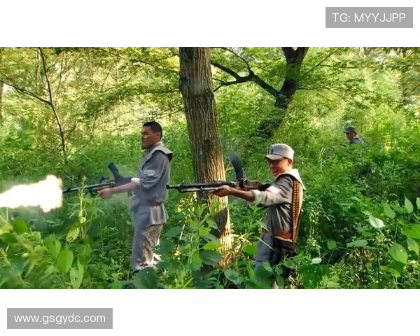 《神枪》:枪火淬炼信仰,热血铸就传奇 《神枪》:枪火淬炼信仰,热血铸就传奇